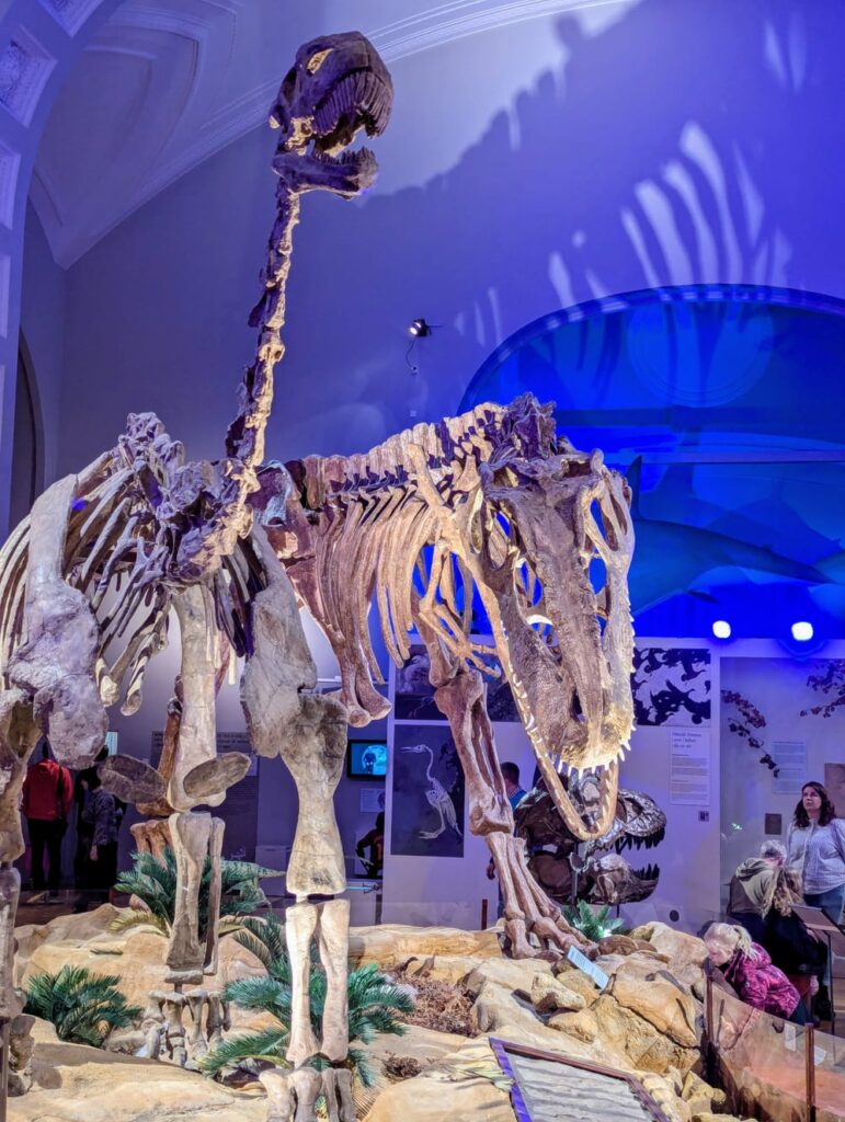 The 15 Best Day Trips from Tallinn in 2025 Natural History Museum in Helsinki