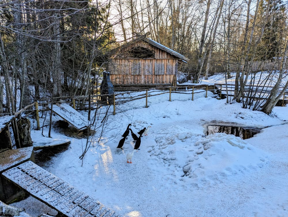 The 15 Best Day Trips from Tallinn in 2025 The 15 Best Day Trips from Tallinn in 2025