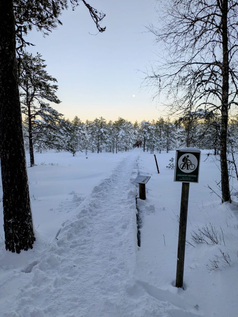 The 15 Best Day Trips from Tallinn in 2025 Viru Bog in winter
