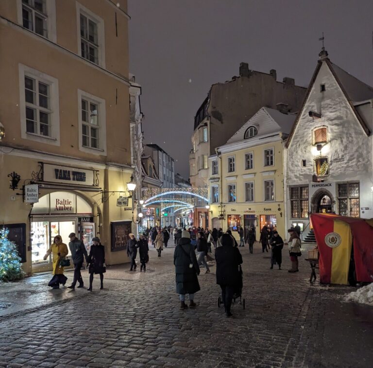 What to do in Tallinn in Winter?